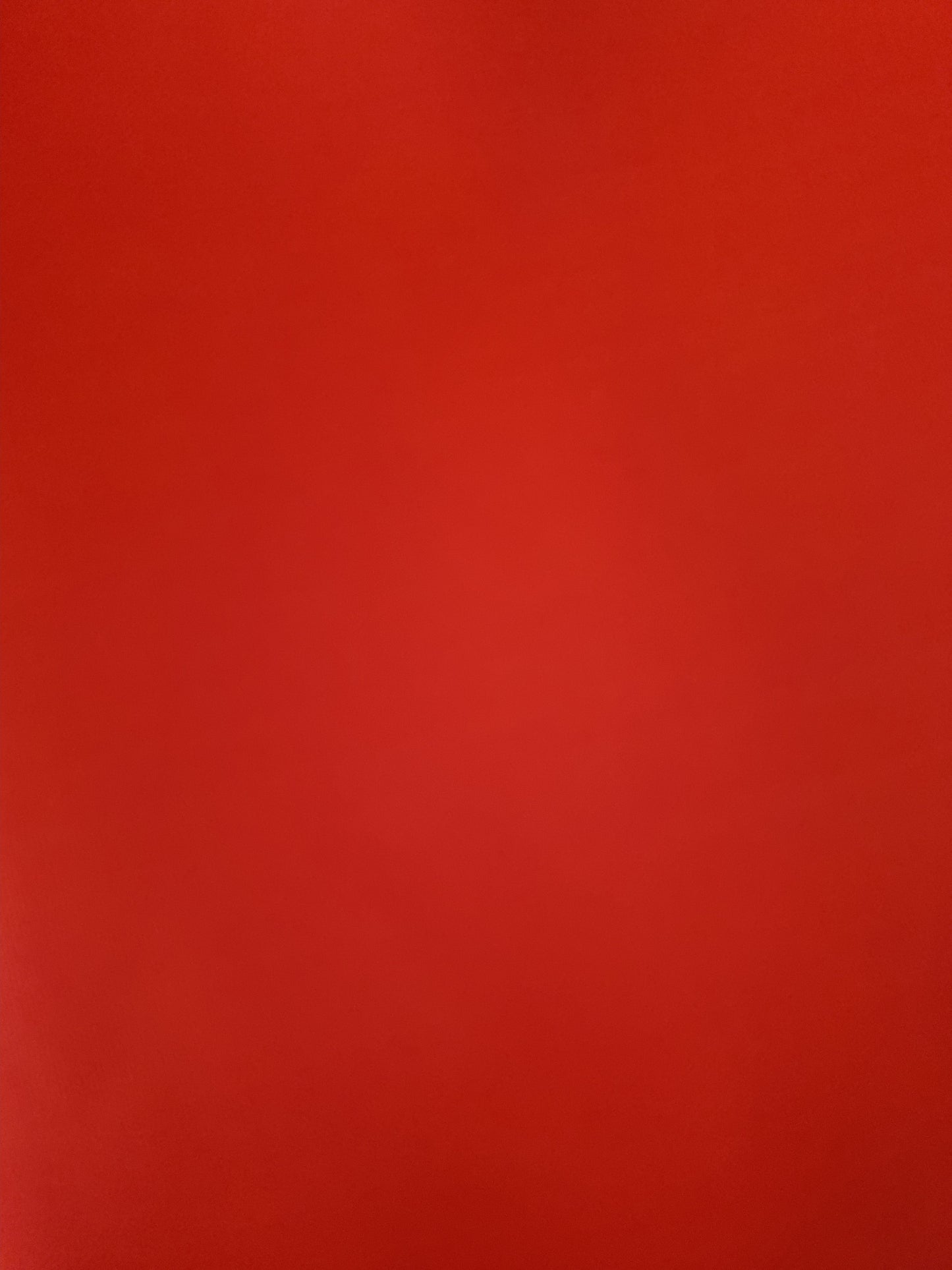 Vintage Neon Orange Nylon Remnant Fabric for Craft Projects