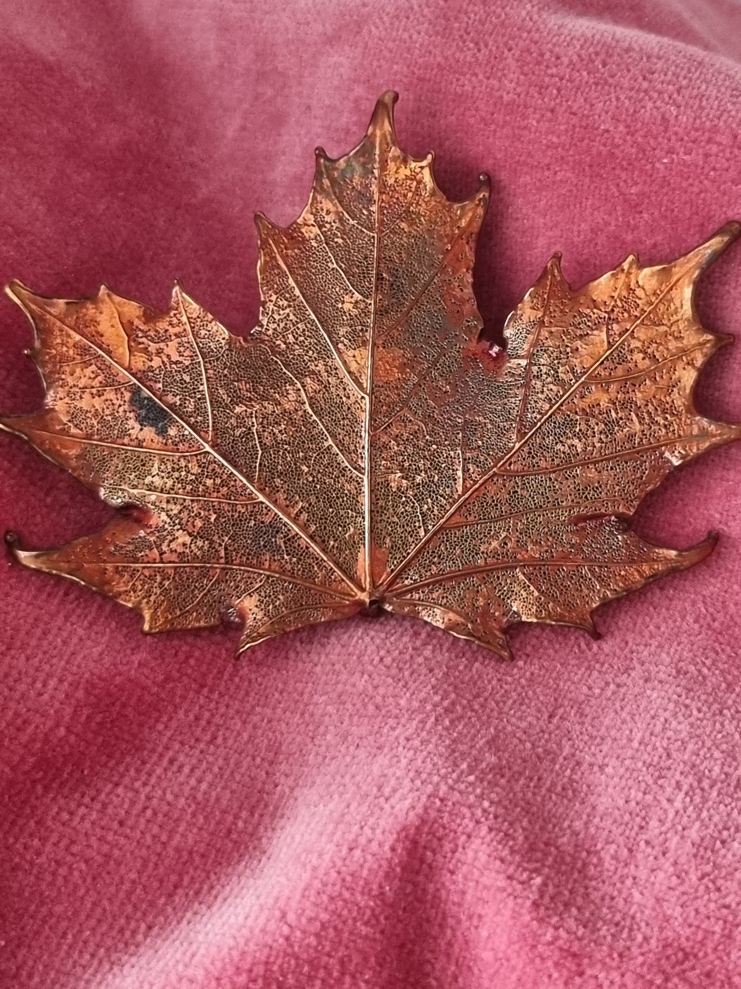 Vintage Brooch and Pendant Copper Tone Maple Leaf Large