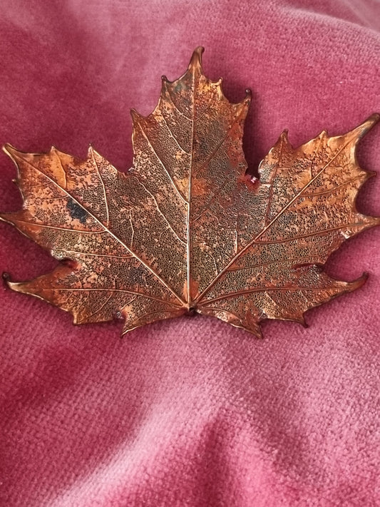 Vintage Brooch and Pendant Copper Tone Maple Leaf Large