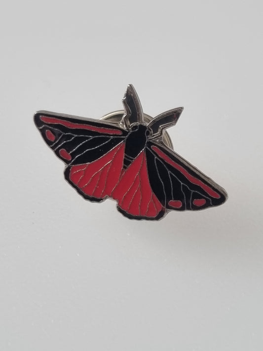 Vintage Pin Badge RSPB Moth Cinnabar Inserts