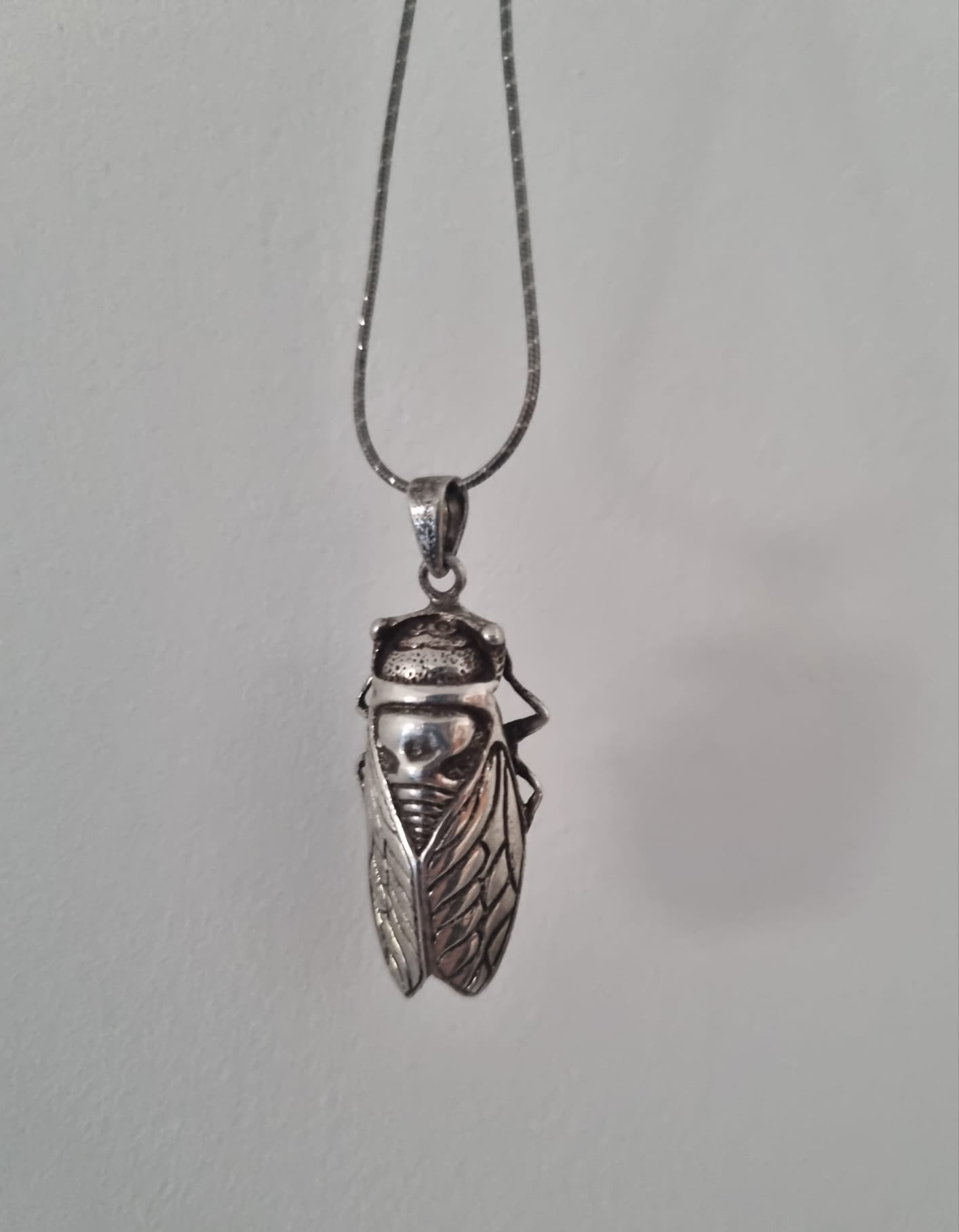 Antique Vintage Sterling silver Cicada charm moth pendant necklace, 925 stamped rope chain.